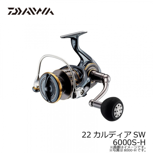 Daiwa 22 Caldia SW 6000S-H