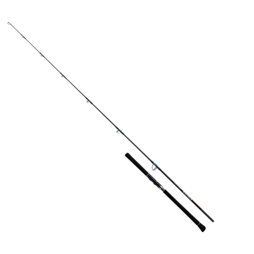 DAIWA 24 SALTIGA BREAKTHROUGH C80-5