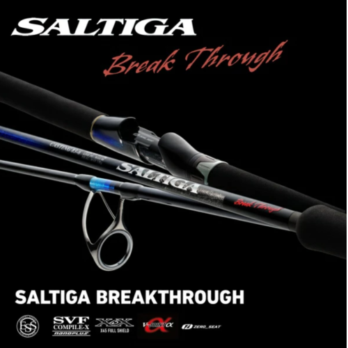 DAIWA 24 SALTIGA BREAKTHROUGH C80-5