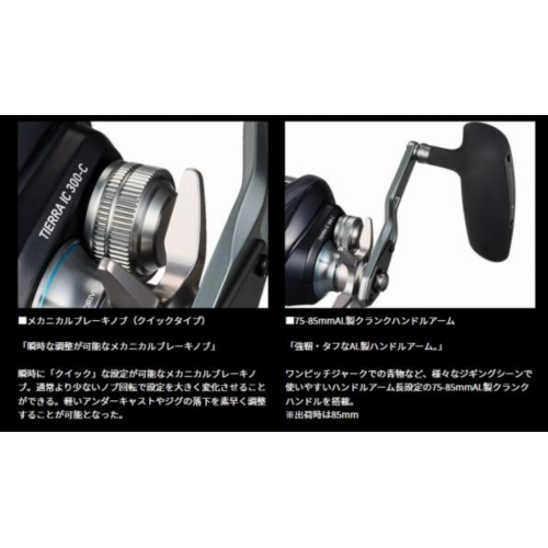 DAIWA 25 TIERRA IC 300L-C