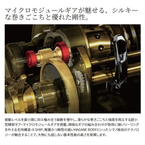Shimano 22 Curado DC 201HG
