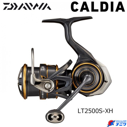 Daiwa 21 Caldia LT2500S-XH