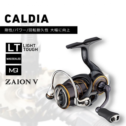 Daiwa 21 Caldia LT2500S