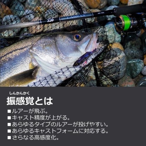 Daiwa 21 LABRAX  AGS 96MH