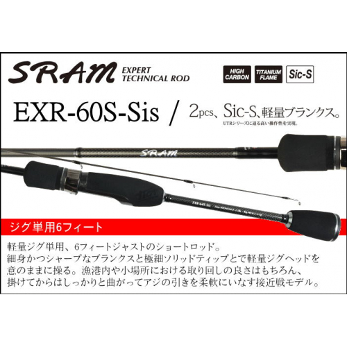 TICT SRAM EXR-60S-Sis