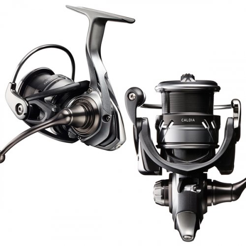 Daiwa Caldia 18 LT1000S-P