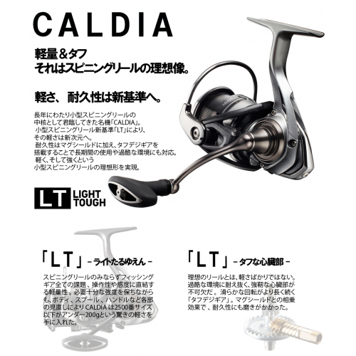 Daiwa Caldia 18 LT1000S-P