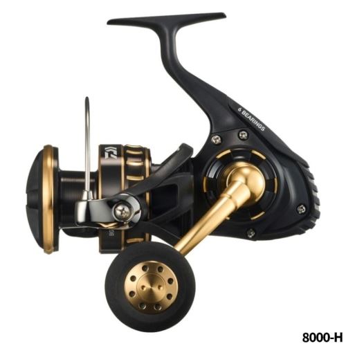 Daiwa 23 BG SW 8000-H