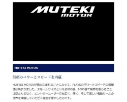 Shimano 17 Plays 800