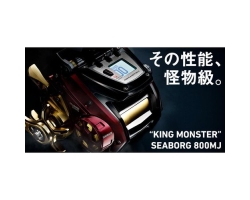Daiwa 17 Seaborg 800MJ