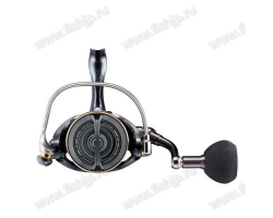 Daiwa 22 Caldia SW 8000-P