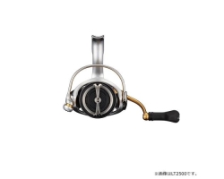 Daiwa 21 Freams LT 3000-C