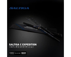 Daiwa 25 Saltiga C Expedition 82-6