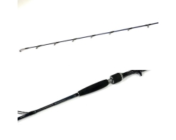 Daiwa Saltiga SG BJ64XXHB 01472710 TA3775