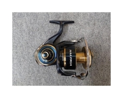 Daiwa 20 Saltiga 8000-H