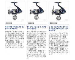 Shimano 21 Twin Power XD 4000XG