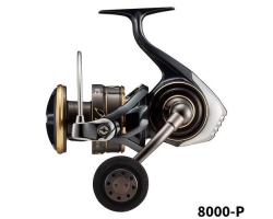 Daiwa 22 Caldia SW 8000-P