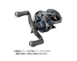 Daiwa 21  STEEZ A TW HLC 7.1R