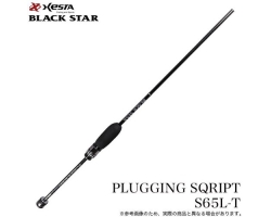 Xesta Black Star S65L-T (2025)