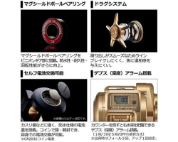 Daiwa 21 Basara IC 250PL