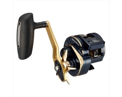 Daiwa Saltiga IC 300H-SJ (2021)