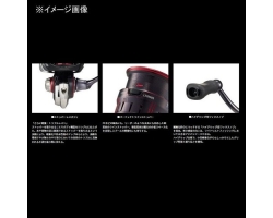 Daiwa 23 GEKKABIJIN LT2000S