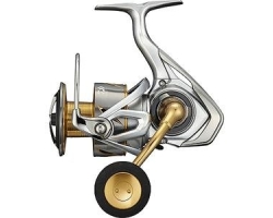 Daiwa 21 Freams LT 6000D-H