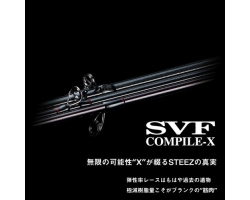 Daiwa 24 Steez SC S64L-2 SV ST FIRE FLASH