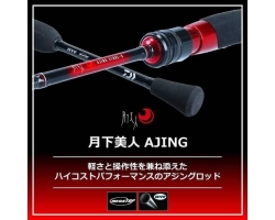 Daiwa 20  GEKKABIJIN AJING 510UL-S