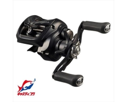Daiwa 24 Tatula TW 100