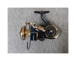 Daiwa 20 Saltiga 8000-P