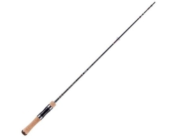 Jackson Kawasemi Rhapsody KWSM-S411L