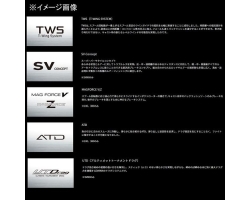 Daiwa 23 SALTIST TW 100XHL PE SPECIAL