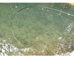 Office Eucalyptus Joker Mecha II 510SL