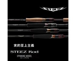 Daiwa 24 Steez SC S64L-2 SV ST FIRE FLASH