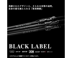 Daiwa 25 Black Label SC S64L-2・ST