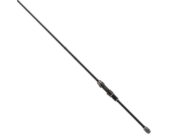 Tailwalk AJIST TZ S76/TT (2024)