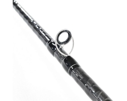 Daiwa  21 Blazon  C66M-2