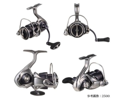 Daiwa 25 Caldia LT4000-C