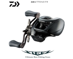 Daiwa 24 Steez SV TW 100XH