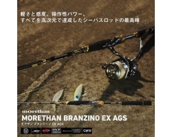 Daiwa 22 Morethan Branzino EX AGS 87LML