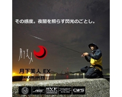 Daiwa 22  Gekkabijin EX AGS 66L-S・Q