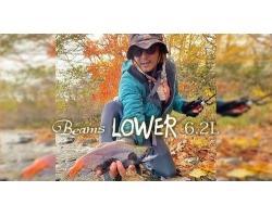 Fishman Beams LOWER 6.2L