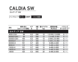 Daiwa 22 Caldia  SW 4000D-CXH