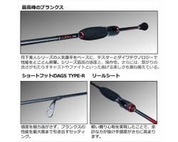 Daiwa 22  Gekkabijin EX AGS 66L-S・Q