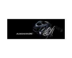 Shimano 25 Aldebaran DC 31HG