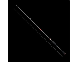 Apia Foojin RS C83ML