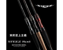 Daiwa 24 Steez SC C69M+-2 ST FIRE WOLF