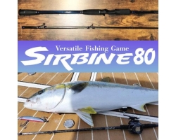 Hishimo 80 SIRBINE80