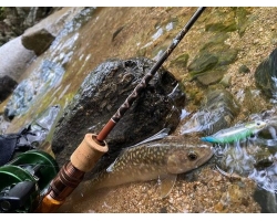 Fenwick FS53CL-3J "Undercut Bank"